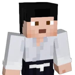 Timgurke2010 Minecraft avatar bust