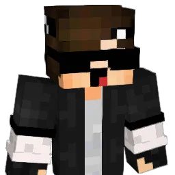 TimkaHD Minecraft avatar bust