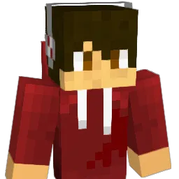 Timmmeeehhhh Minecraft avatar bust