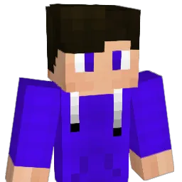 Timmmmmmmmm Minecraft avatar bust