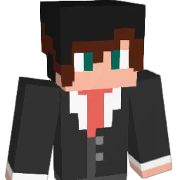 Timmy0x199 Minecraft avatar bust