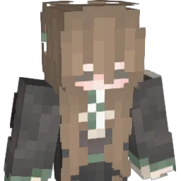 TimmyTimChalamet Minecraft avatar bust
