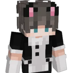 Timmyboi123 Minecraft avatar bust