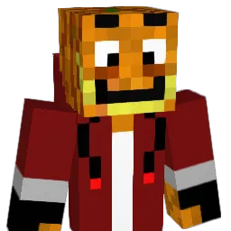 Timo1230145's Minecraft skin