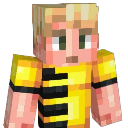 Timosch8 Minecraft avatar bust