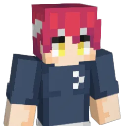 TinFoilSock Minecraft avatar bust