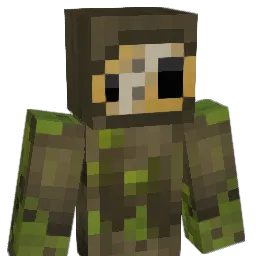 TinQk Minecraft avatar bust