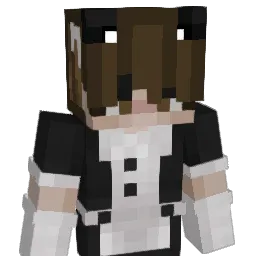 Tin_Basher Minecraft avatar bust