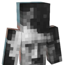 Tingus_2009 Minecraft avatar bust