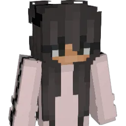 TinyAsian1009 Minecraft avatar bust