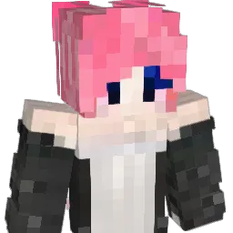 TinyCharmer Minecraft avatar bust