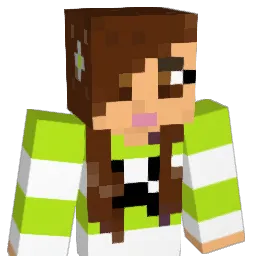 TinyOne111 Minecraft avatar bust