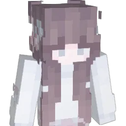Tip_Top Minecraft avatar bust