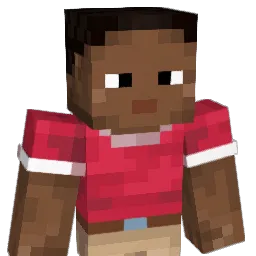 TiquiWini Minecraft avatar bust