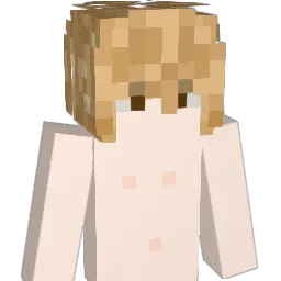 Tisssu Minecraft avatar bust