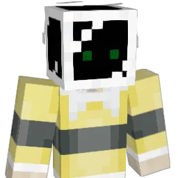 TixhoBraje Minecraft avatar bust