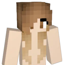 Tkdkrishna Minecraft avatar bust