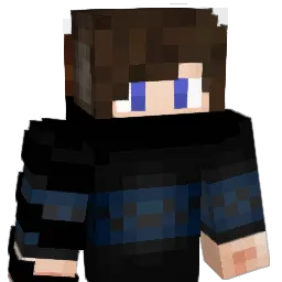 Tkdninja17 Minecraft avatar bust