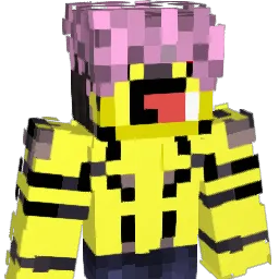 Tm01234569 Minecraft avatar bust