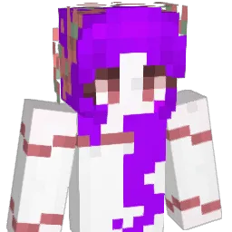 Tmd_wow Minecraft avatar bust