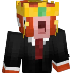 ToJaKarp2137 Minecraft avatar bust