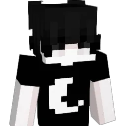 ToJaOrzech Minecraft avatar bust