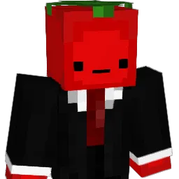 ToMaTo1913 Minecraft avatar bust