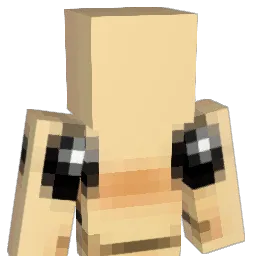 ToadBupp's Minecraft skin