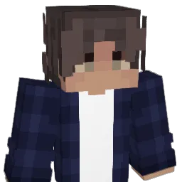 Toast2249 Minecraft avatar bust