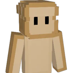 Toast_player's Minecraft skin