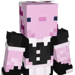 Toaster123456's Minecraft skin