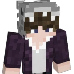 Toasttieee Minecraft avatar bust