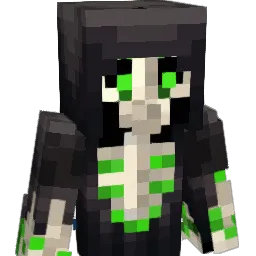 Toasty_Fx Minecraft avatar bust