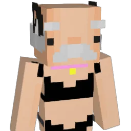 TochaDelaS Minecraft avatar bust