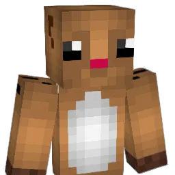 Tocsc Minecraft avatar bust