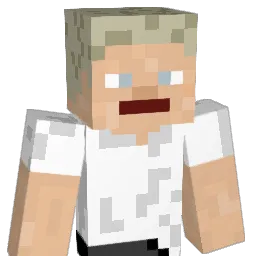 TodesninjaTNG Minecraft avatar bust