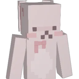 Toes_and_Hoes