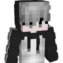 Togoto8 Minecraft avatar bust