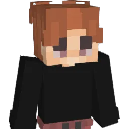 Toikkanen69 Minecraft avatar bust