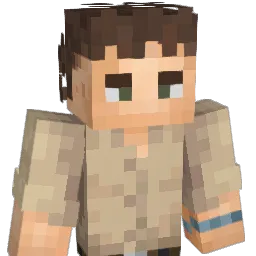 Toitole's Minecraft skin