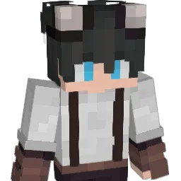 Tojicps's Minecraft skin