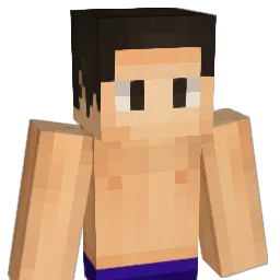 Toka___ Minecraft avatar bust