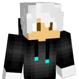 Tokawa_ Minecraft avatar bust
