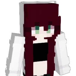 Tokioowu Minecraft avatar bust