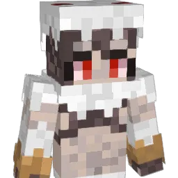 Tokkomo's Minecraft skin