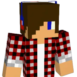 Tom431 Minecraft avatar bust