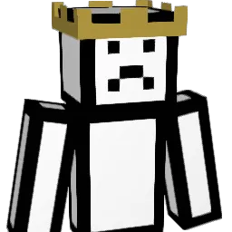 Tom4sek_ Minecraft avatar bust