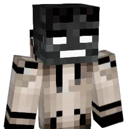 Tom800's Minecraft skin