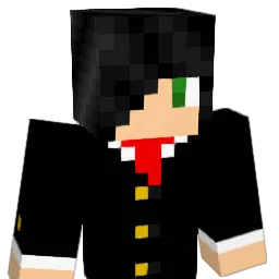 TomTheCreeper05 Minecraft avatar bust