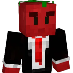 Tomako333 Minecraft avatar bust